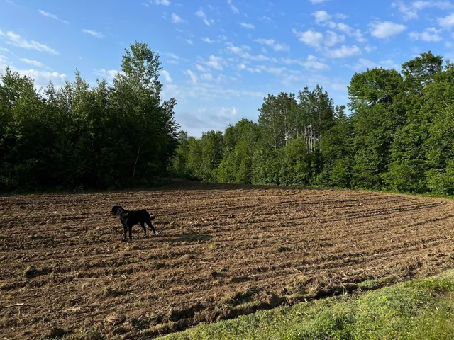 $249,000 | M5-l28-5 Moosehead Trail Highway, Jackson, ME 04921