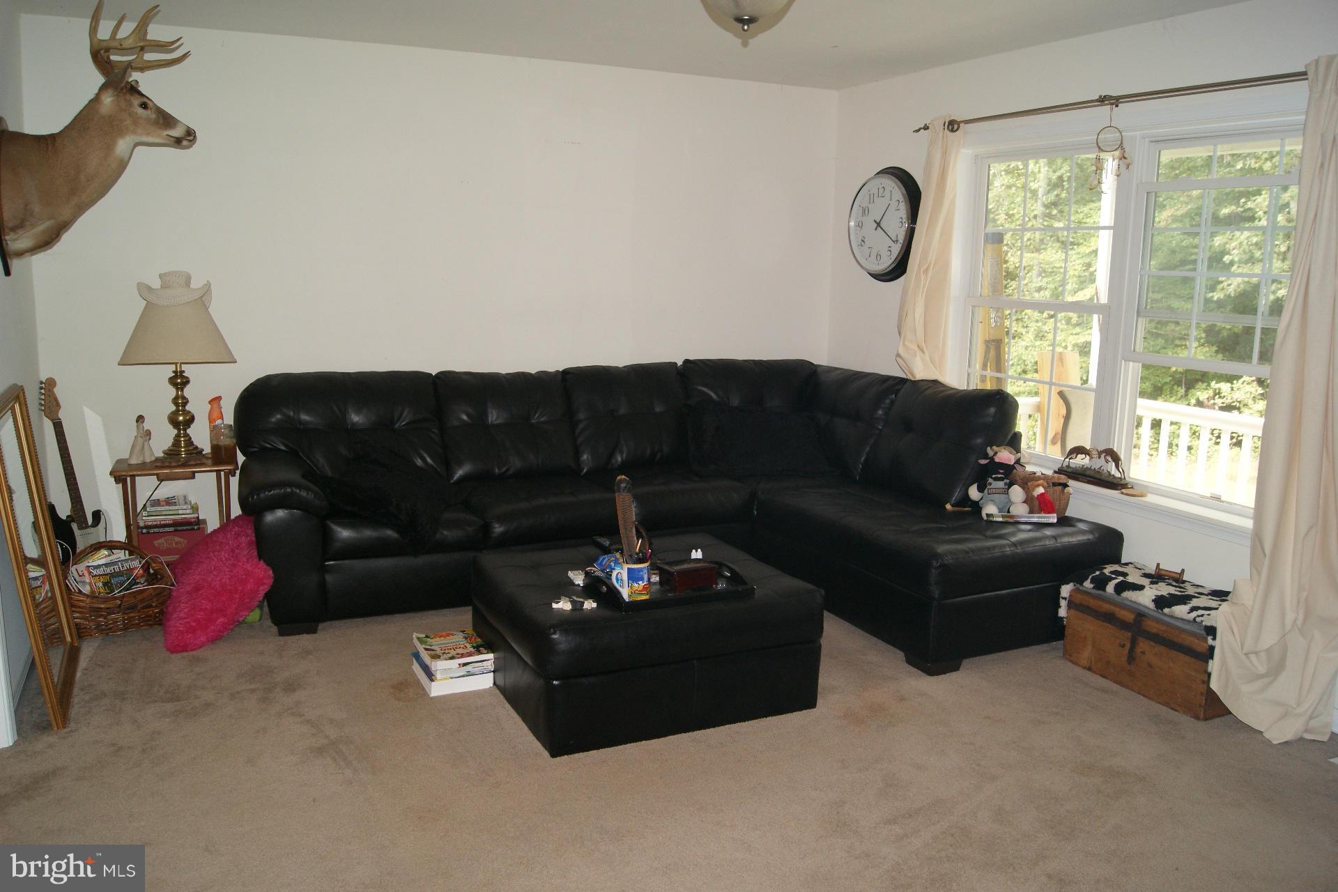 14137 Silver Hill Road Sumerduck, VA 22742 - Photo 7 of 11 Family Room