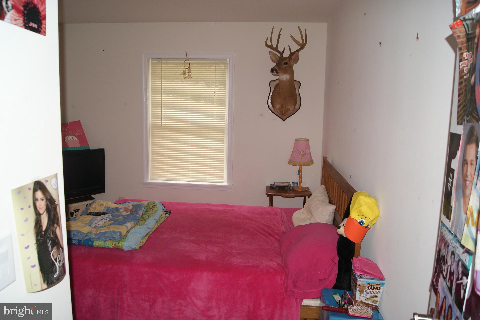 14137 Silver Hill Road Sumerduck, VA 22742 - Photo 8 of 11 Bedroom