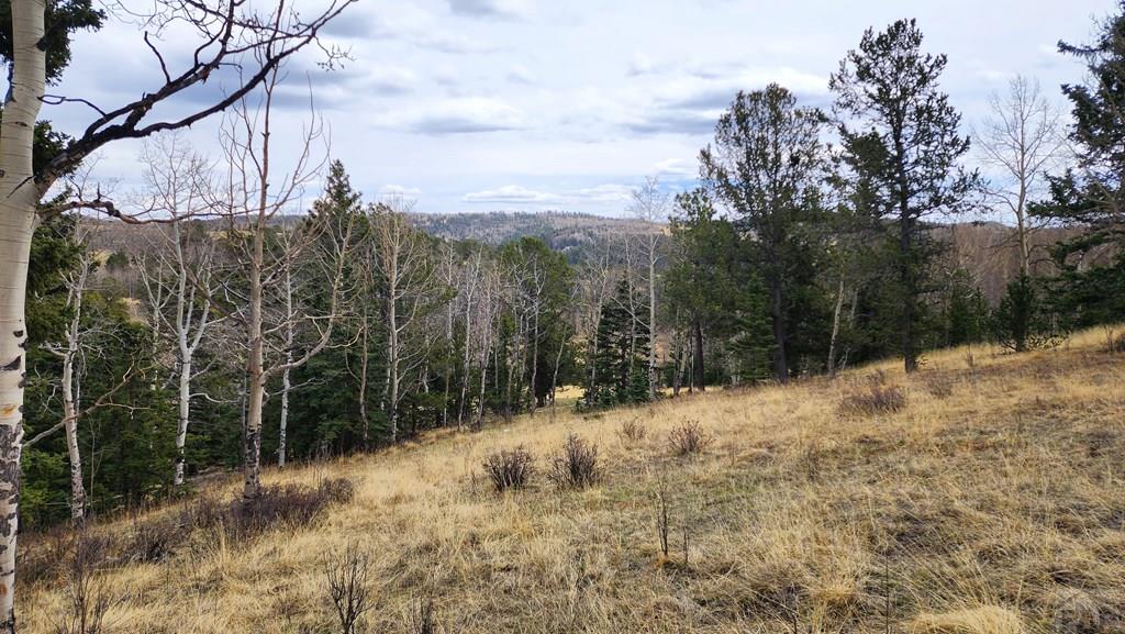 0 County Road Victor, CO 80860 - Photo 15 of 21