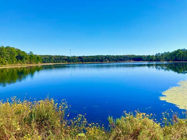 2.37-ac Martin Road DeFuniak Springs, FL 32433 - Photo 1 of 21 LOT 10 SEACOAST ESTATES