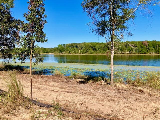 2.37-ac Martin Road DeFuniak Springs, FL 32433 - Photo 11 of 21 Lake View From Shoreland Near Lot 10
