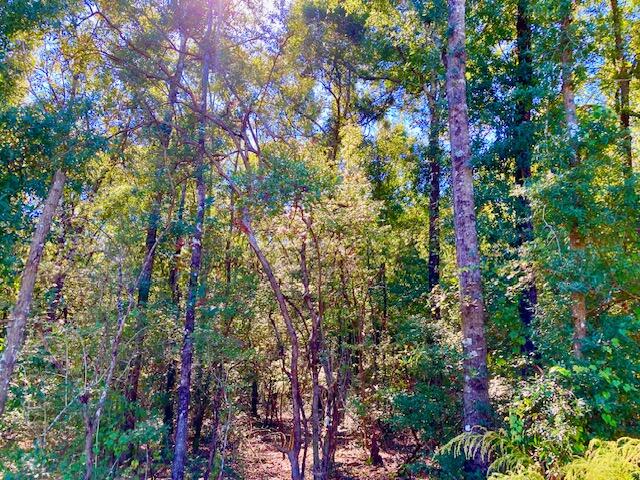 2.37-ac Martin Road DeFuniak Springs, FL 32433 - Photo 12 of 21 Lot 10 From Shore Side