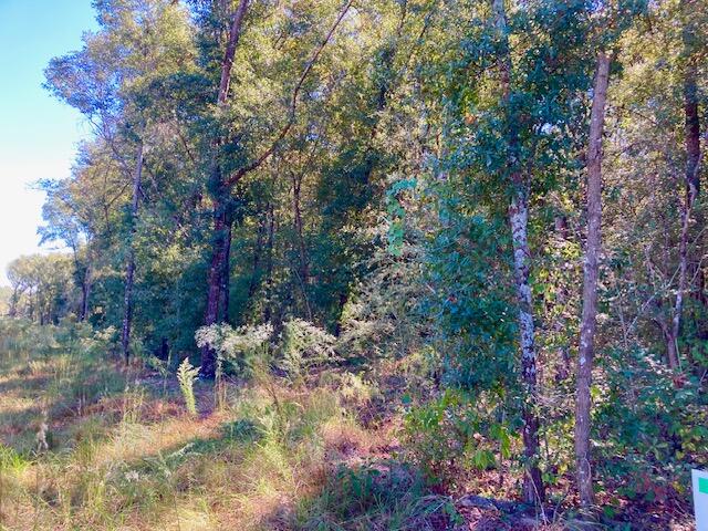 2.37-ac Martin Road DeFuniak Springs, FL 32433 - Photo 13 of 21 Lot 10 From Shore Side