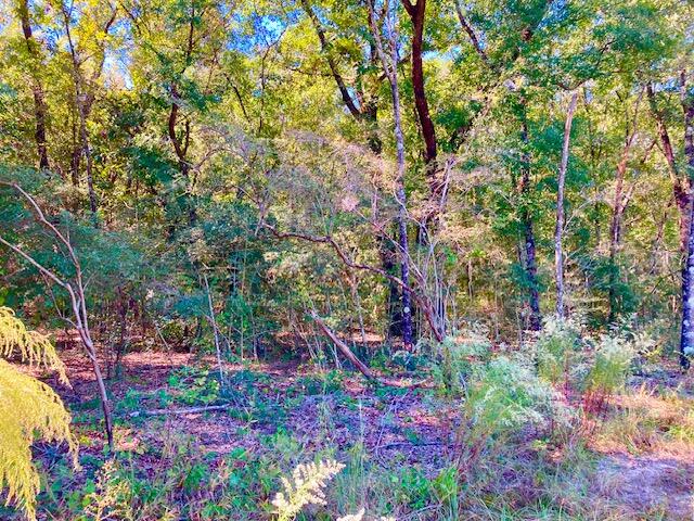 2.37-ac Martin Road DeFuniak Springs, FL 32433 - Photo 14 of 21 Lot 10 from Shore Side