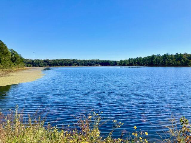 2.37-ac Martin Road DeFuniak Springs, FL 32433 - Photo 3 of 21 SEACOAST LAKE