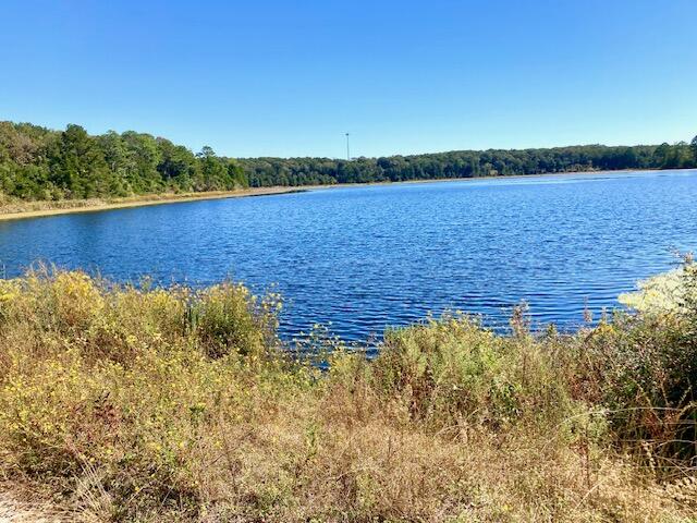 2.37-ac Martin Road DeFuniak Springs, FL 32433 - Photo 8 of 21 Lake View From Dam