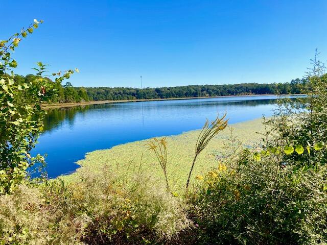 2.37-ac Martin Road DeFuniak Springs, FL 32433 - Photo 10 of 21 Seacoast Lake