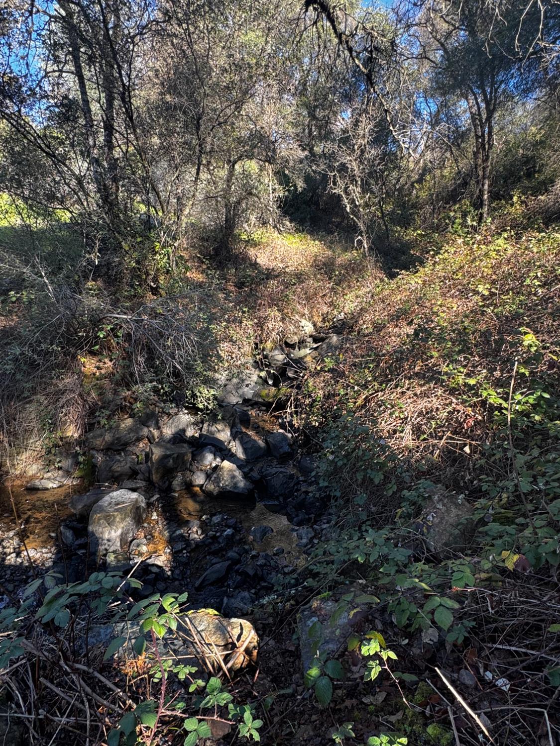 15806 Perimeter Road Grass Valley, CA 95949 - Photo 37 of 48 Here is part of the waterfall into the creek