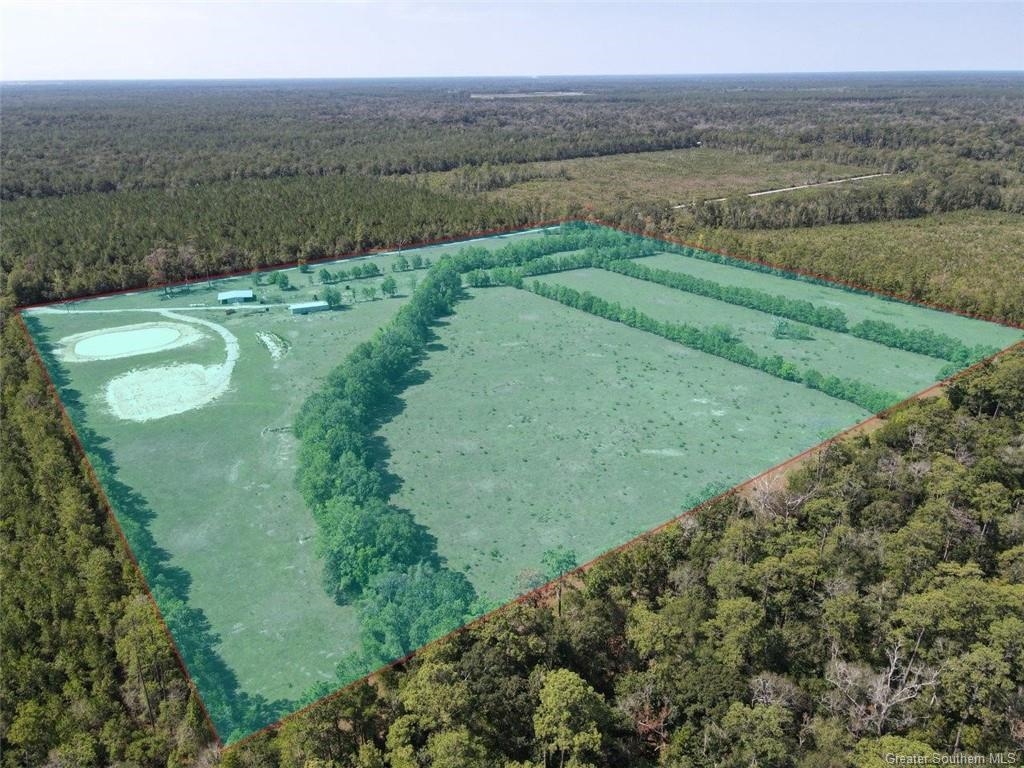 Tbd Ward Line Road Kinder, LA 70648 - Photo 10 of 14