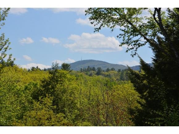 49 Tate Road Gilford, NH 03249 - Photo 3 of 34