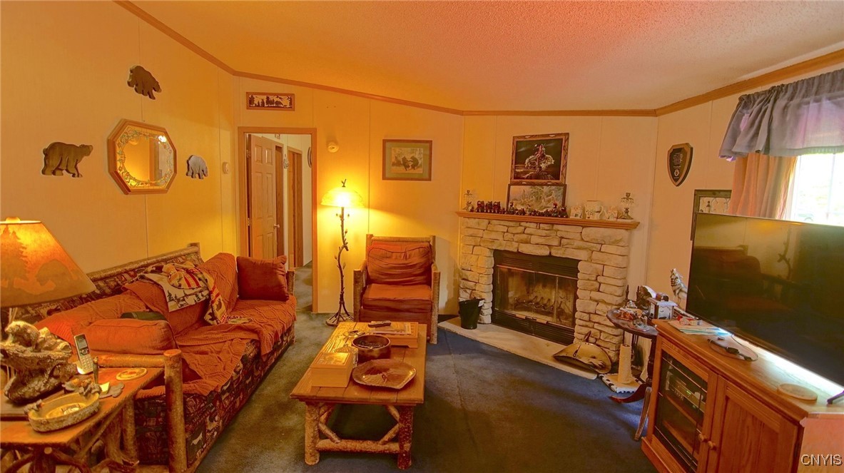 1046 Williams Road Remsen, NY 13438 - Photo 4 of 39