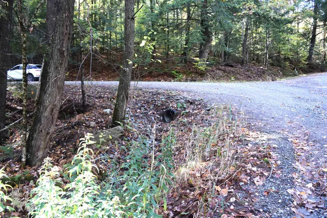 $15,500 | Lot 14 Hanover Drive, Unit 14, Haverhill, NH 03765