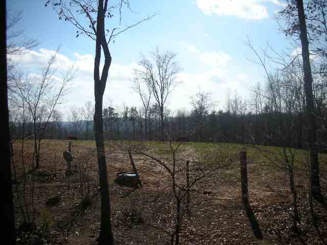 3 River Ridge Road Marietta, SC 29661 - Photo 5 of 24