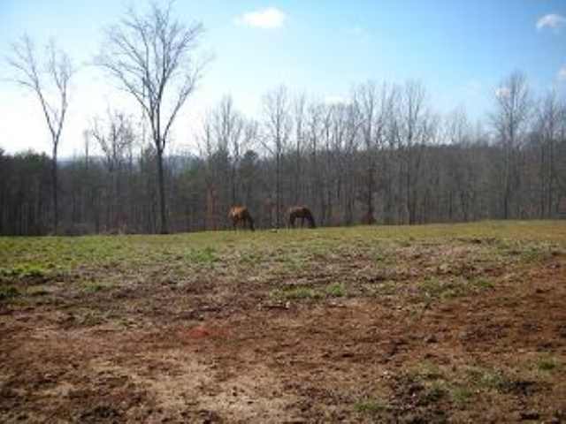 3 River Ridge Road Marietta, SC 29661 - Photo 6 of 24