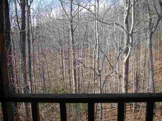 3 River Ridge Road Marietta, SC 29661 - Photo 9 of 24