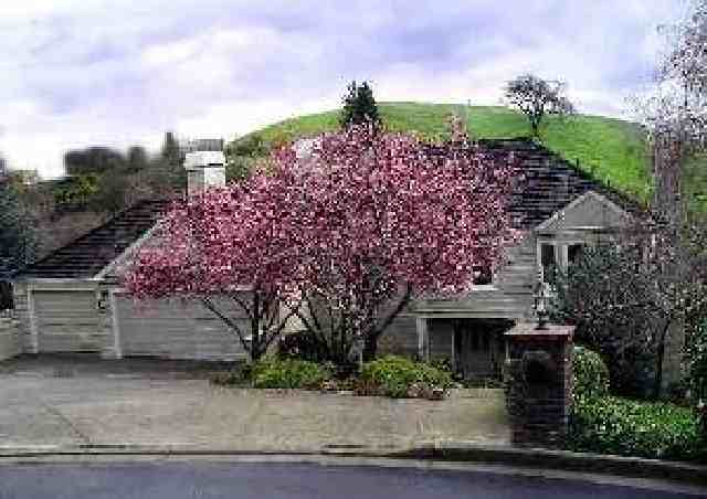 61 Ridgecrest Court Lafayette, CA 94549 - Photo 1 of 1 Gallery Image 1