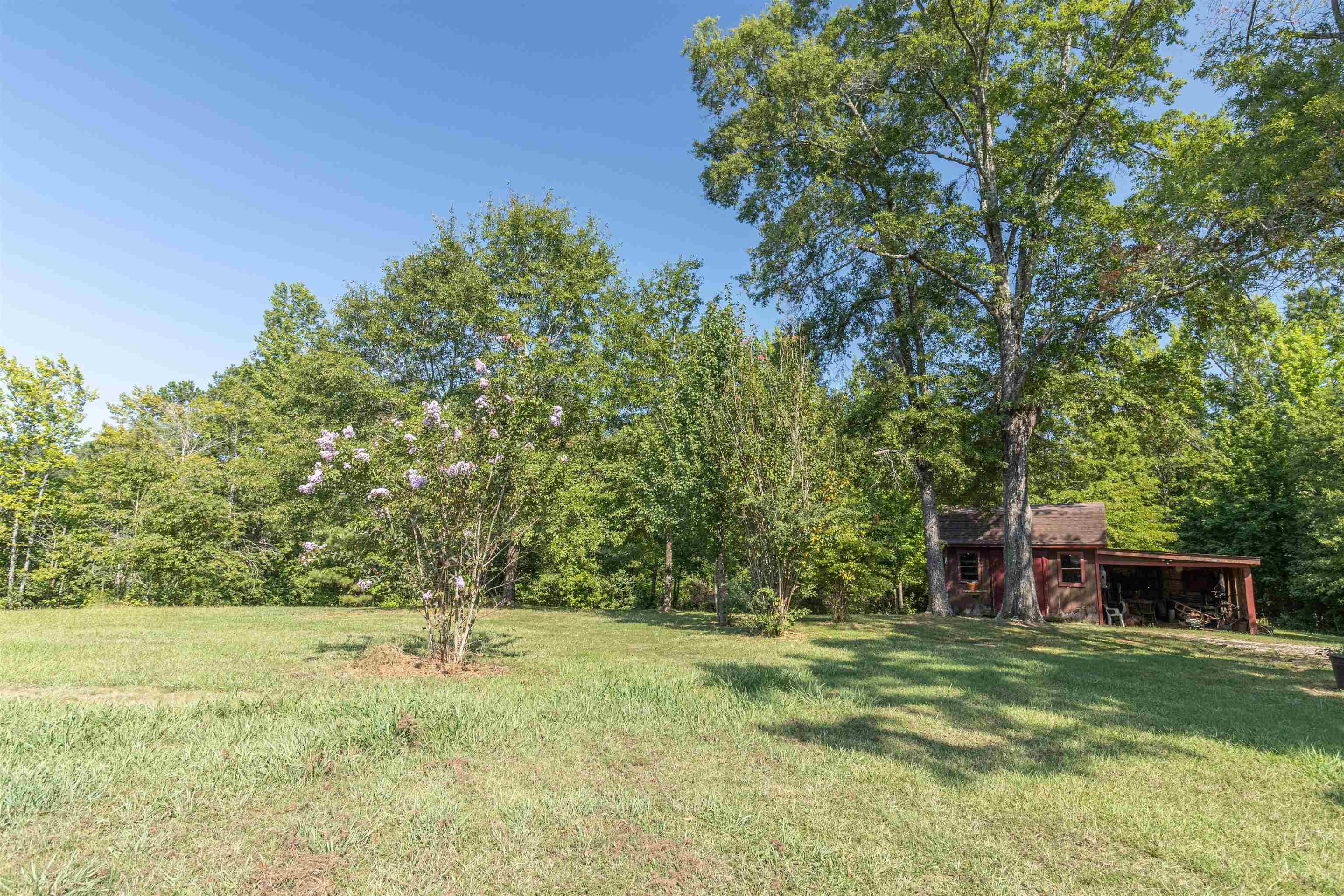 3301 57th Highway Ramer, TN 38367 - Photo 29 of 31