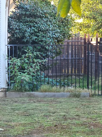 a view of a yard with plants and trees