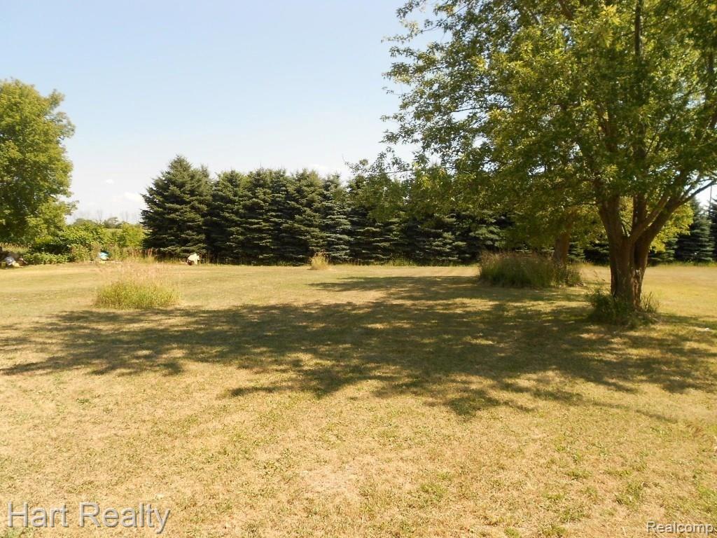 490 South Hellems Road Bad Axe, MI 48413 - Photo 2 of 4 004.JPG