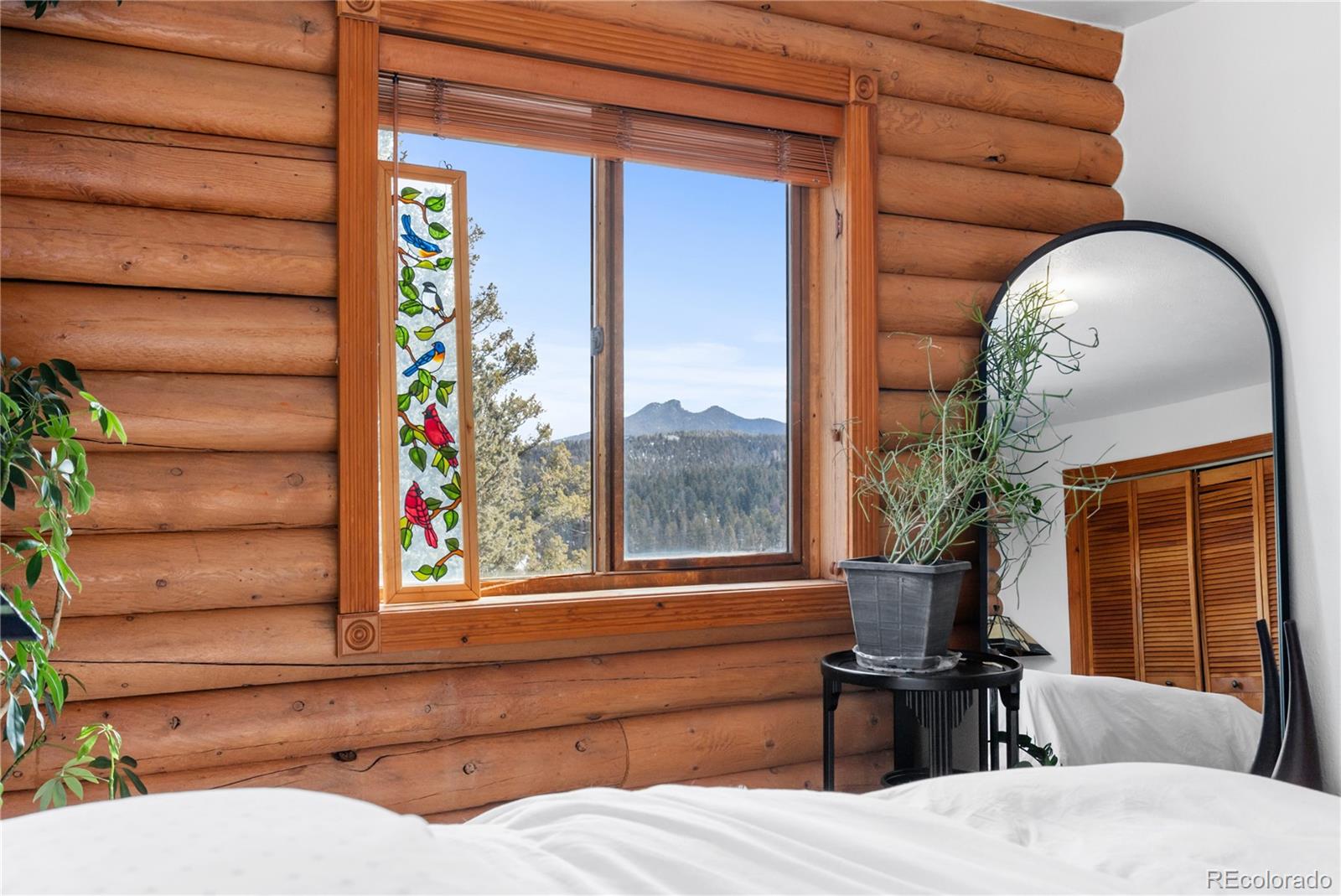 10221 Blue Sky Trail Conifer, CO 80433 - Photo 23 of 37 a view of a living room filled with furniture and a potted plant