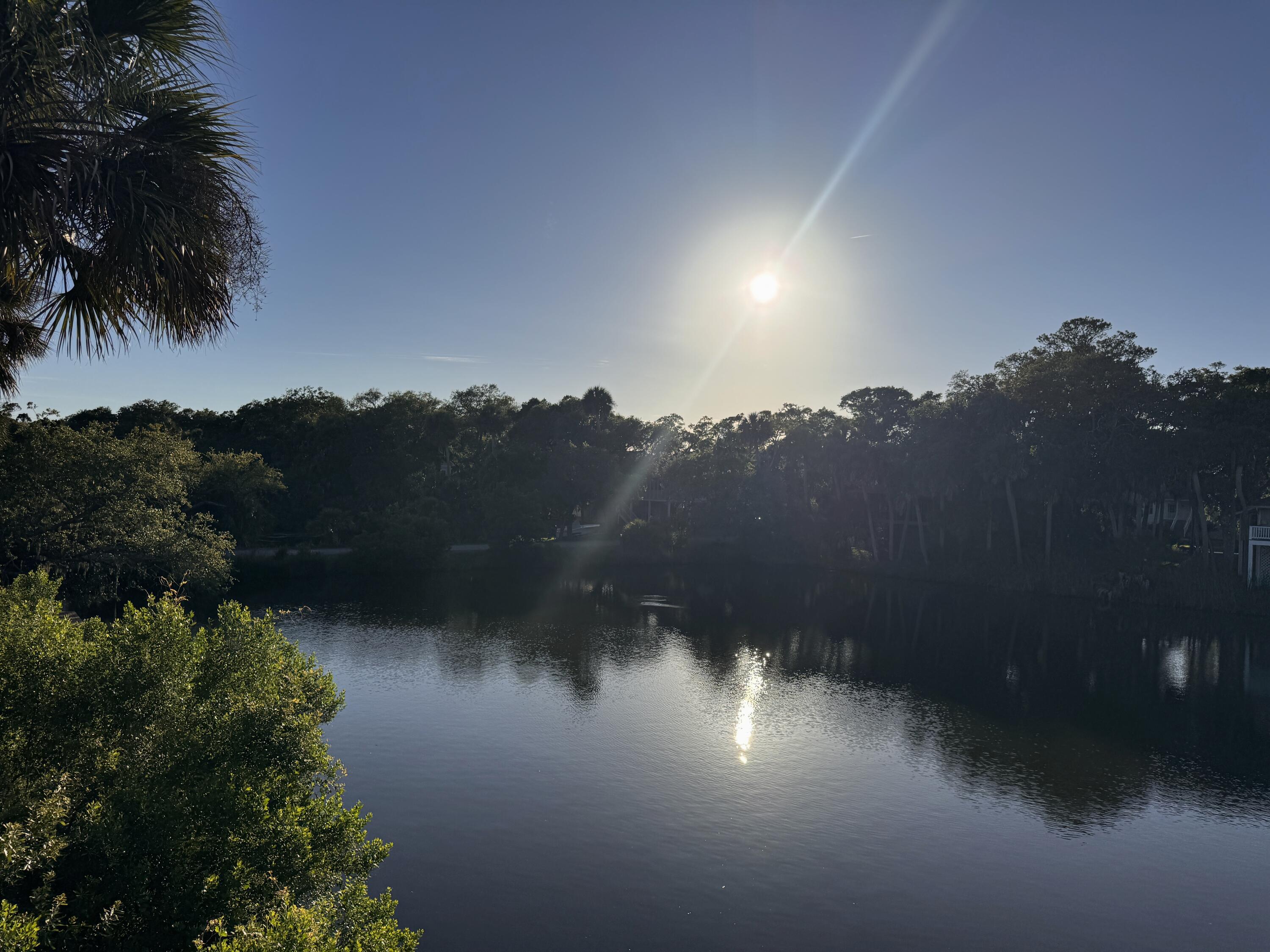 705 Sandpiper Ridge Edisto Island, SC 29438 - Photo 7 of 57 2aaa