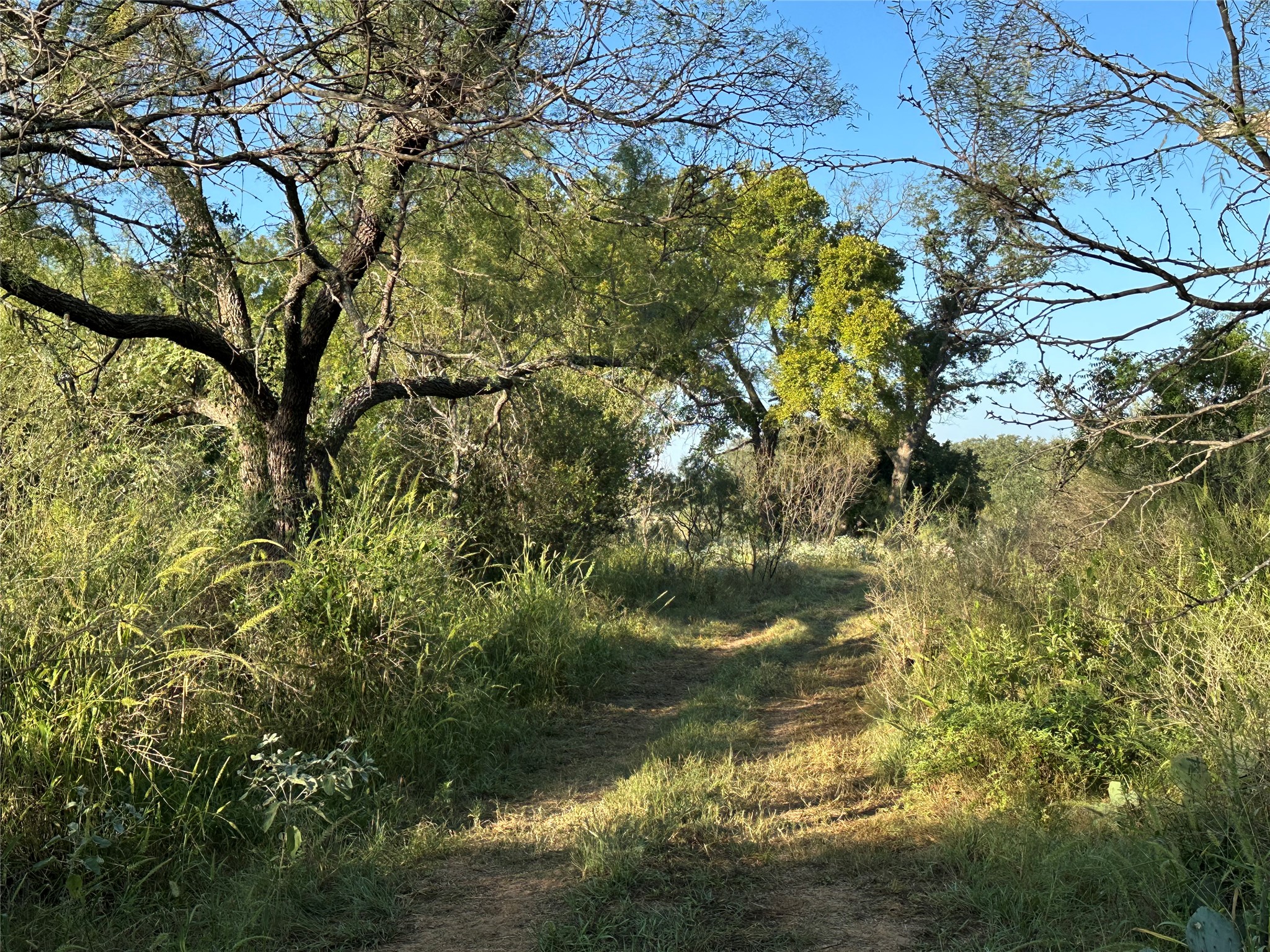 2976 Lower Willow Creek Road Mason, TX 76856 - Photo 13 of 27
