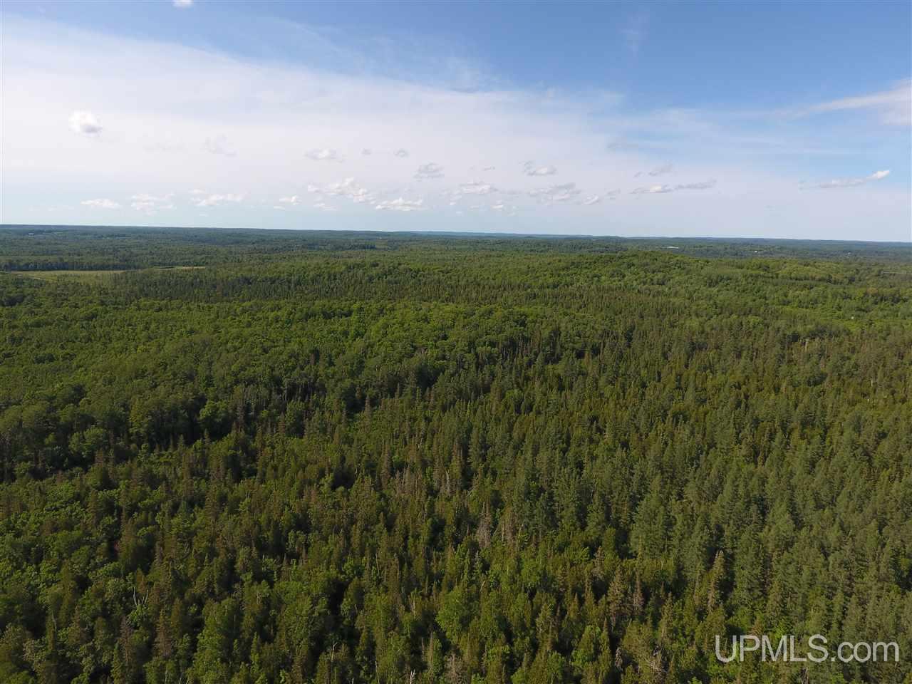 Tbd Co Rd Ppl Ishpeming, MI 49849 - Photo 16 of 30