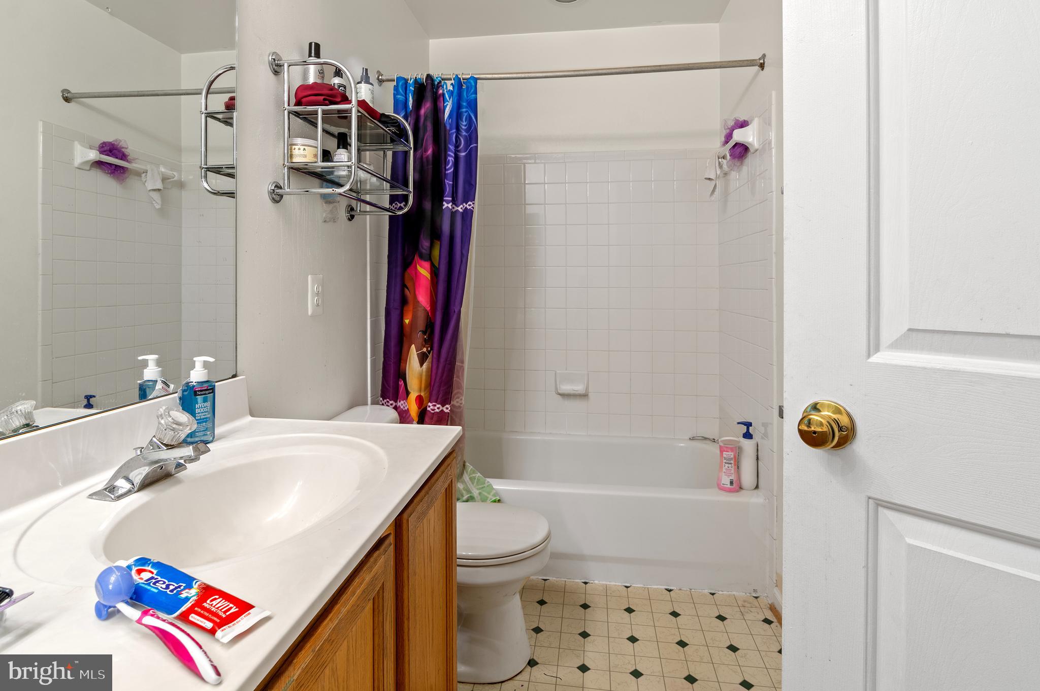 7106 Firebrush Court Clinton, MD 20735 - Photo 17 of 28 Upper Level Full Bath