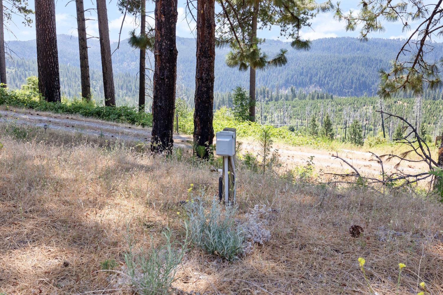 8009 Spring Valley Road Pollock Pines, CA 95726 - Photo 25 of 31 a view of a backyard