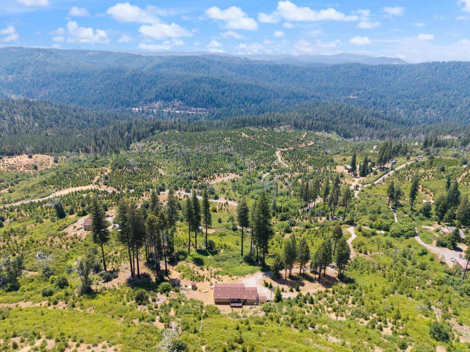 8009 Spring Valley Road Pollock Pines, CA 95726 - Photo 30 of 31 a view of a yard