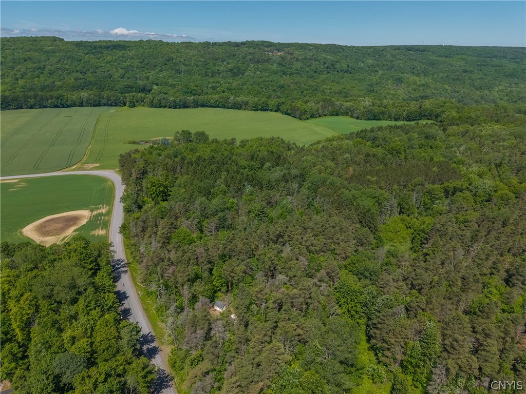 8804 Becker Road Springwater, NY 14572 - Photo 30 of 34