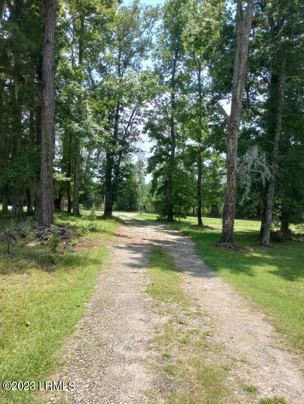 993 Country Club Road Hampton, SC 29924 - Photo 2 of 4 0-1