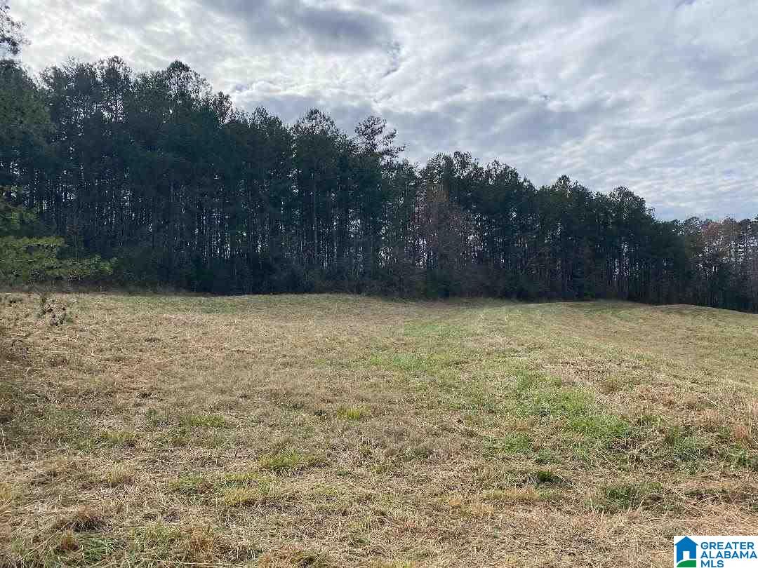 0 Jones Chapel Road, Unit 4 5 Springville, AL 35146 - Photo 2 of 9 Gallery Image 2
