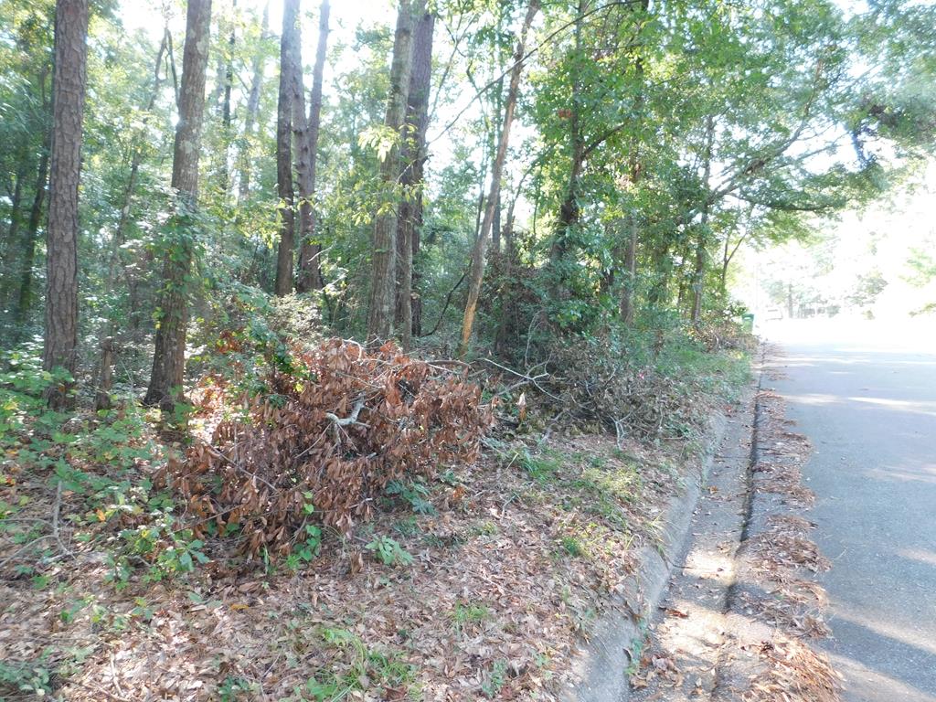 0 Briarcliff Road Ozark, AL 36360 - Photo 1 of 3