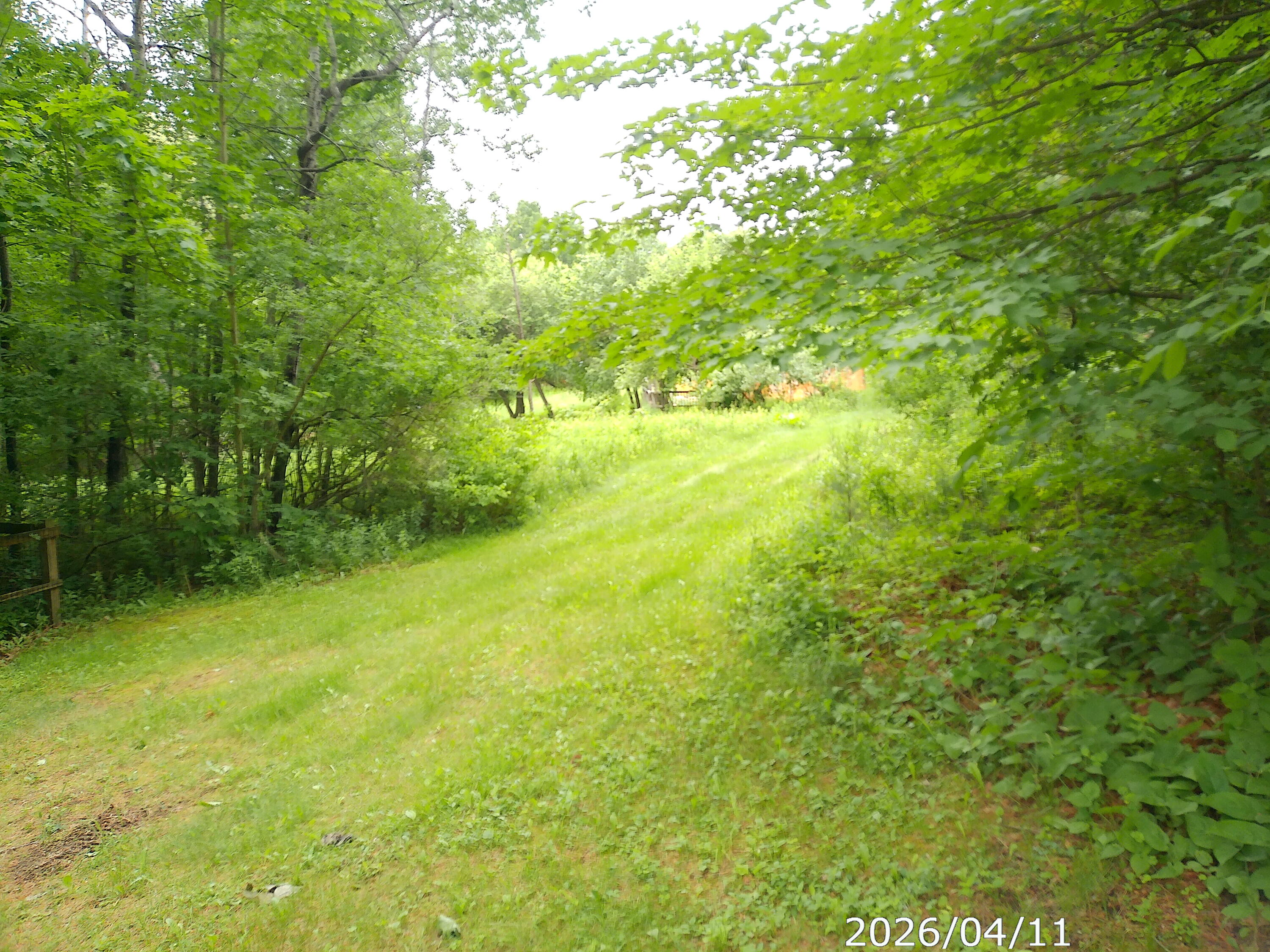 313 Springfield Road Wilmington, NY 12997 - Photo 3 of 40
