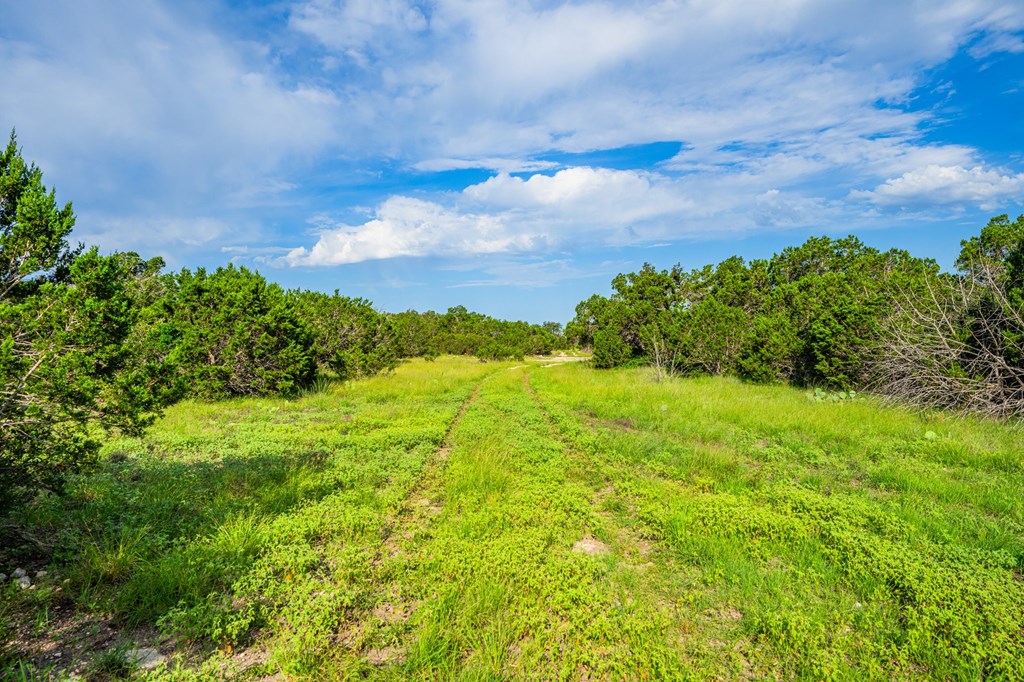 230 Camino Real Road Northwest Junction, TX 76849 - Photo 18 of 26 a view of a bunch of trees and bushes