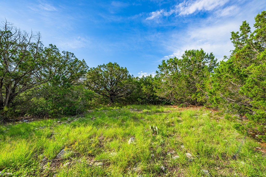 230 Camino Real Road Northwest Junction, TX 76849 - Photo 19 of 26