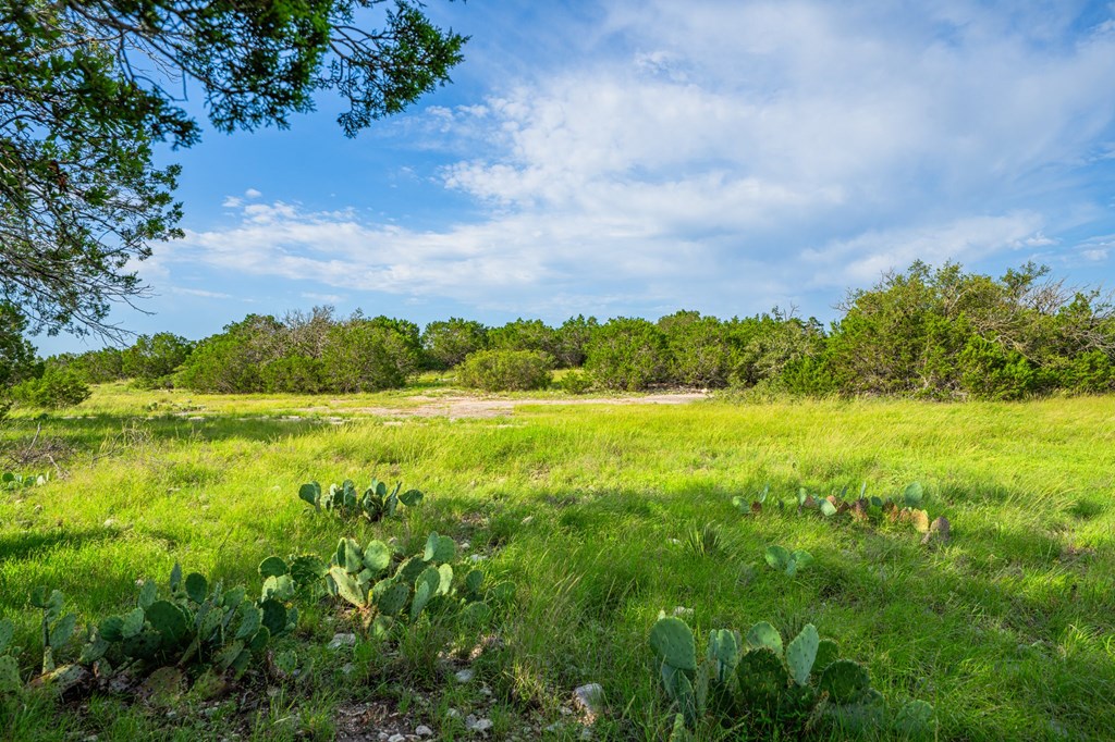 230 Camino Real Road Northwest Junction, TX 76849 - Photo 20 of 26 a view of an outdoor space and a yard