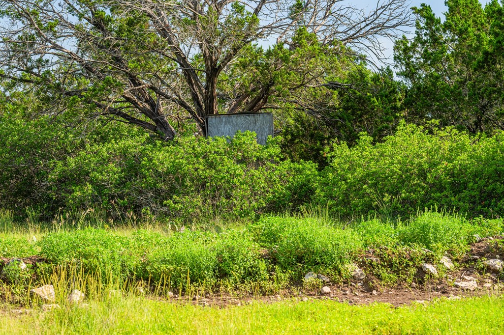 230 Camino Real Road Northwest Junction, TX 76849 - Photo 22 of 26 a backyard of a house with lots of green space and garden
