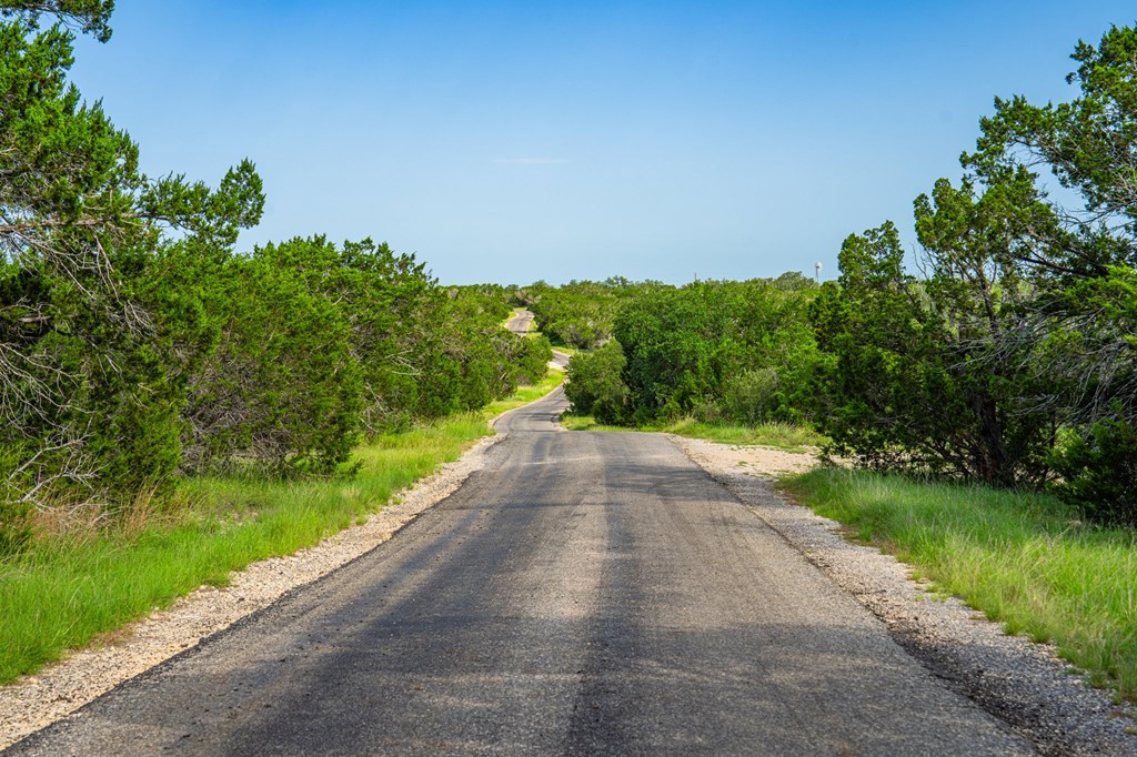 230 Camino Real Road Northwest Junction, TX 76849 - Photo 24 of 26 a view of a yard with flower plants and wooden fence