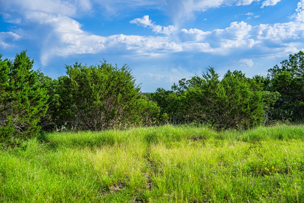230 Camino Real Road Northwest Junction, TX 76849 - Photo 8 of 26 a view of a garden