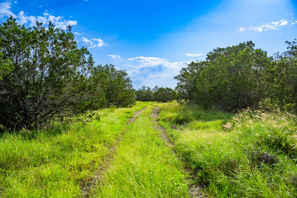 230 Camino Real Road Northwest Junction, TX 76849 - Photo 9 of 26 a view of a big yard with large trees
