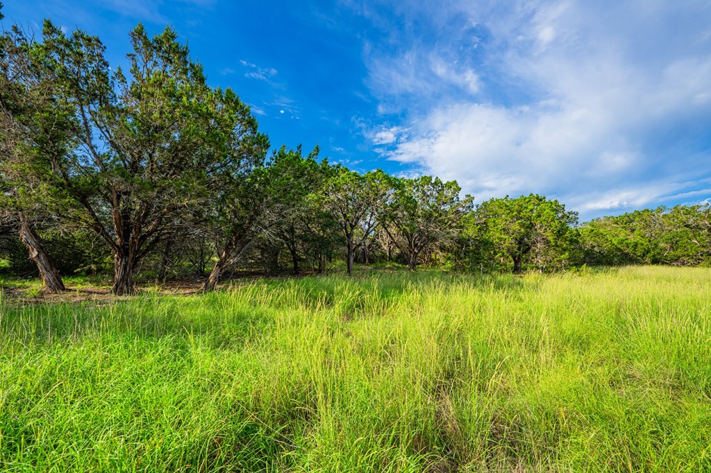 230 Camino Real Road Northwest Junction, TX 76849 - Photo 10 of 26 a view of a garden