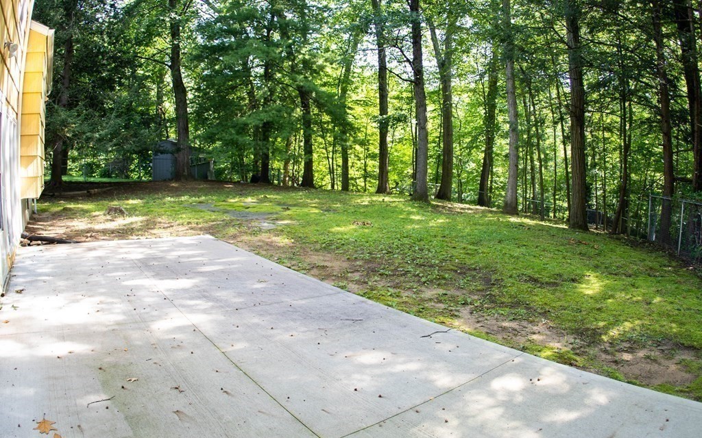 47 Craig Street Springfield, MA 01108 - Photo 16 of 18 a view of a yard with plants and large trees