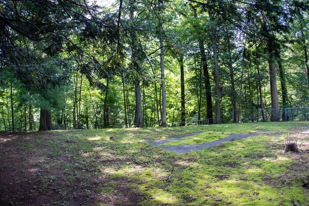 47 Craig Street Springfield, MA 01108 - Photo 17 of 18 a big yard with lots of green space and deers