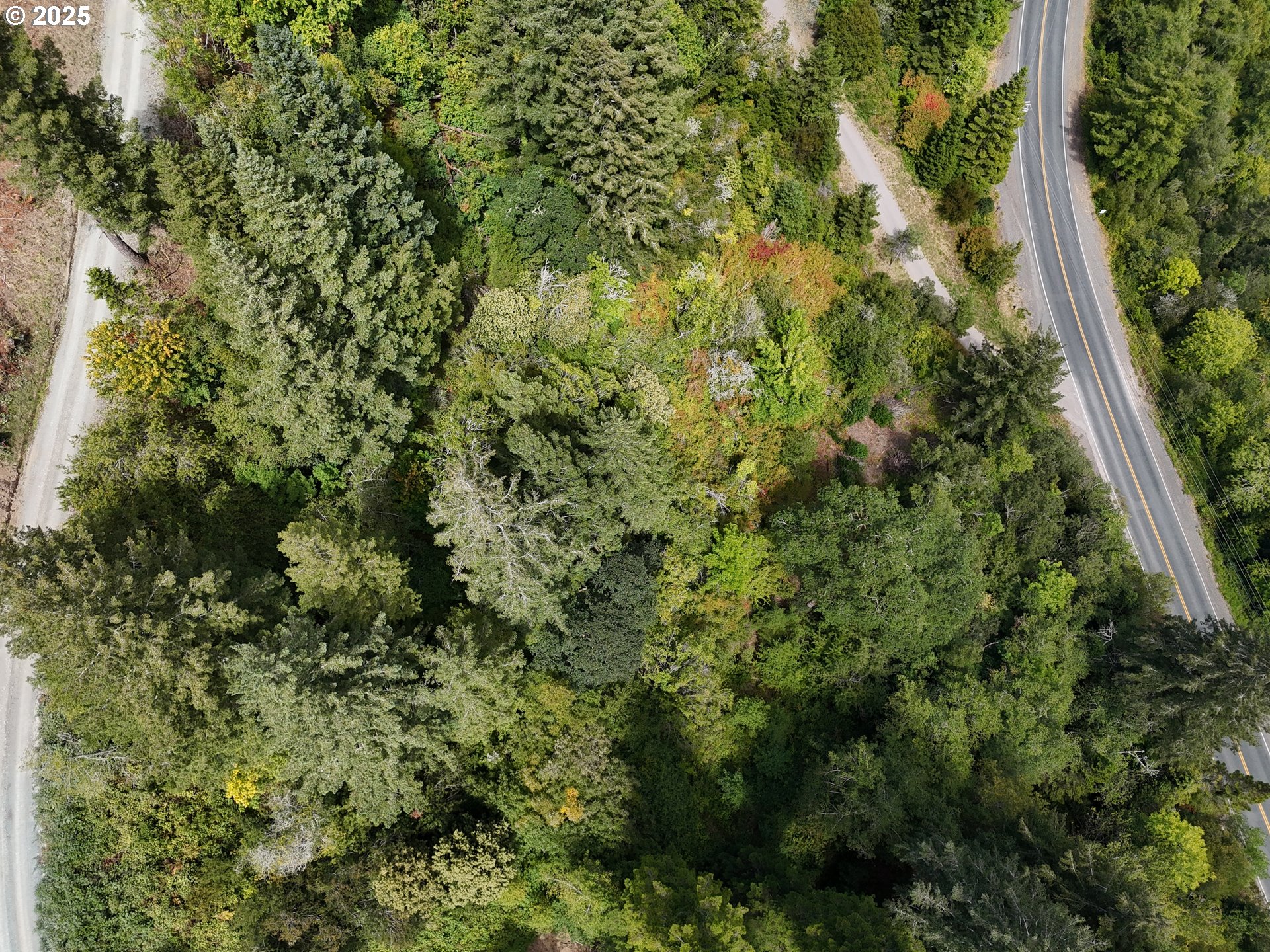 0 North Bank Chetco Brookings, OR 97415 - Photo 6 of 8 a view of a forest