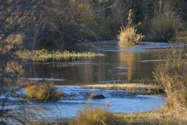 $629,500 | 8688 Camino Del Arroyo, Palo Cedro, CA 96073