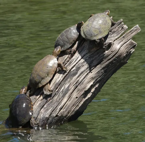 $629,500 | 8688 Camino Del Arroyo, Palo Cedro, CA 96073