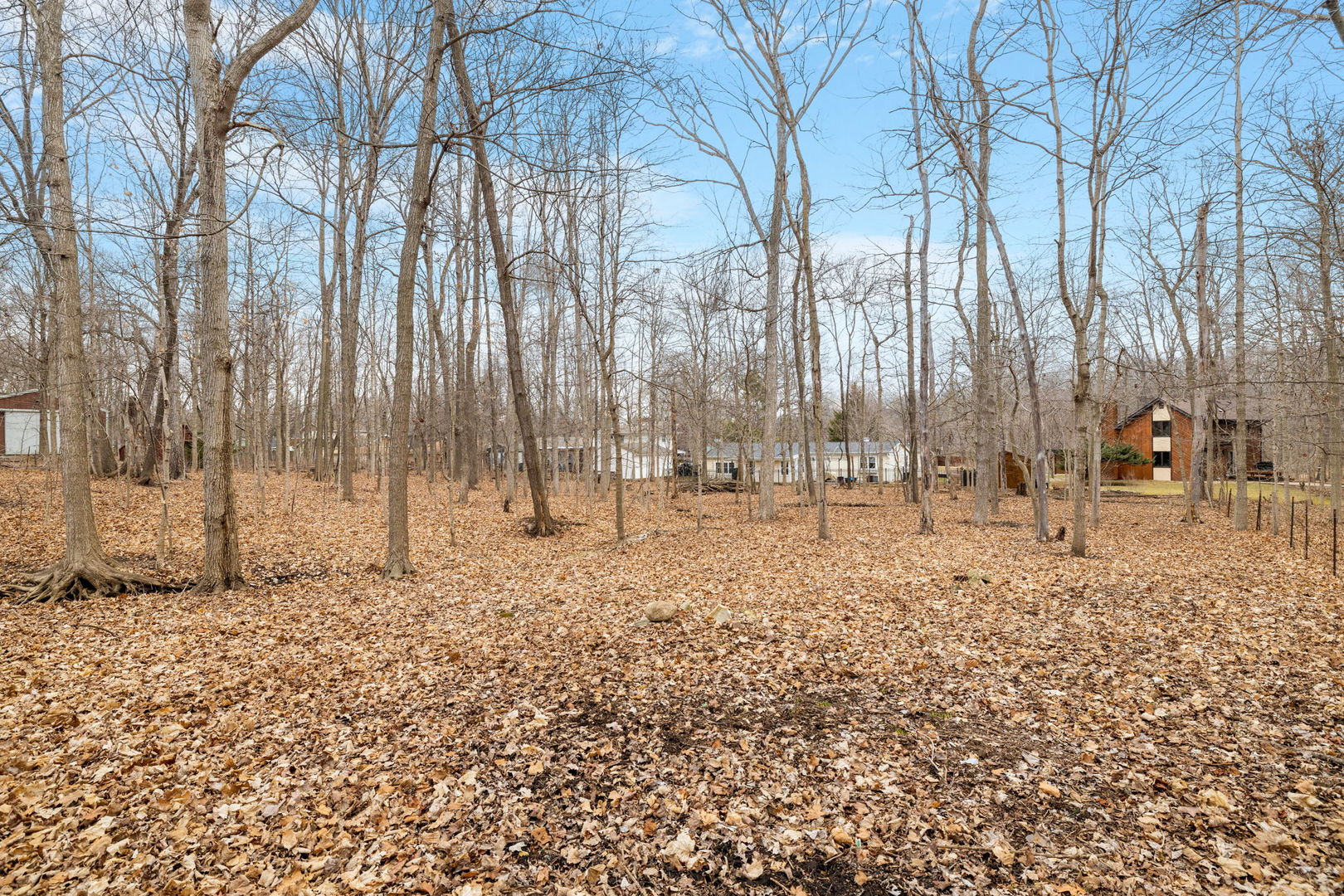 11040 Cleveland Road Mokena, IL 60448 - Photo 10 of 28 a view of covered with snow